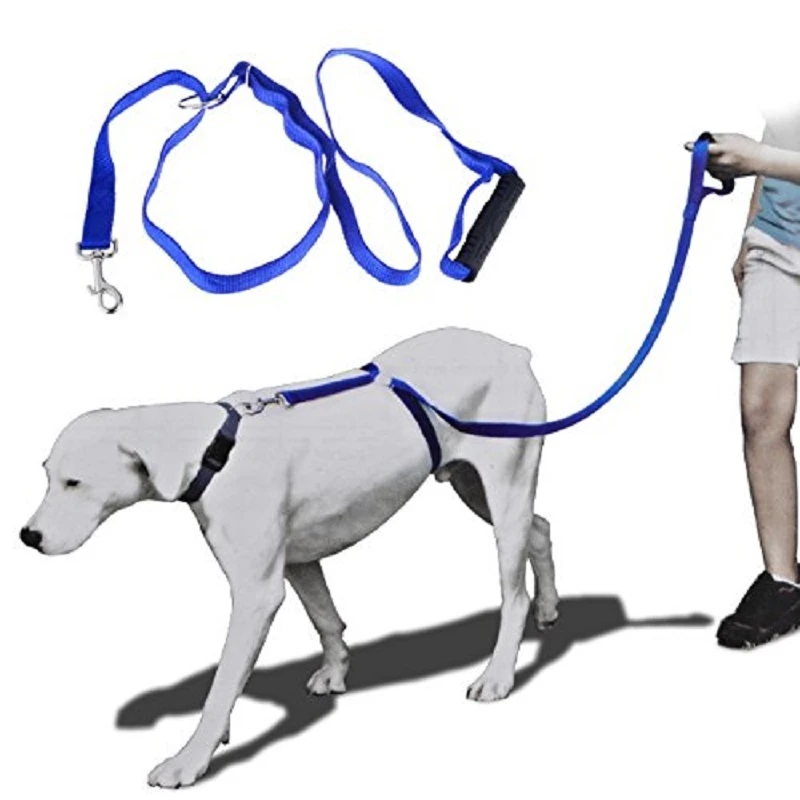 Nylon Lead Collars Traction Collar Rope Running Pet Dog Leash Training Rope