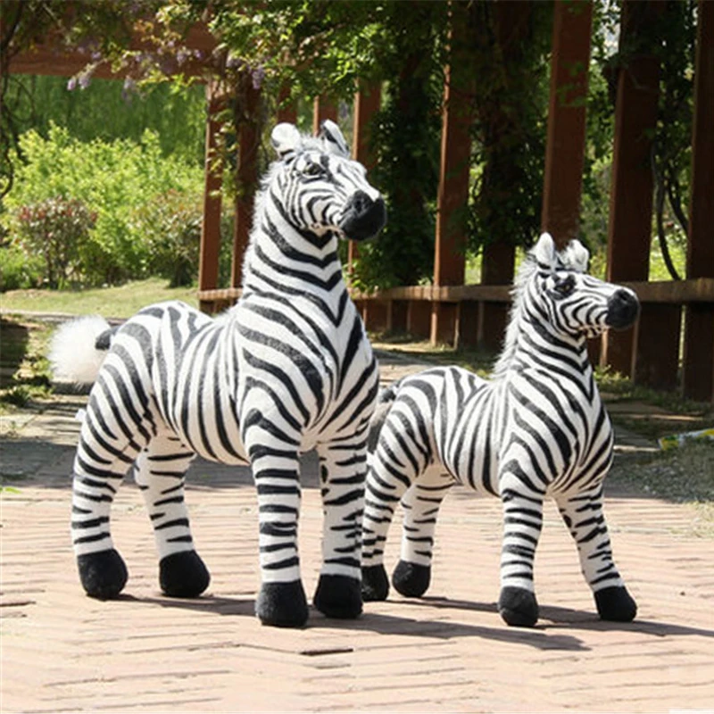 zebra3