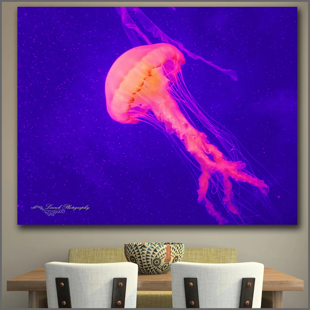 Large size Printing Oil Painting Beautiful jellyfish wall art canvas
