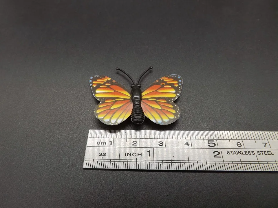 I258-Butterfly (10)