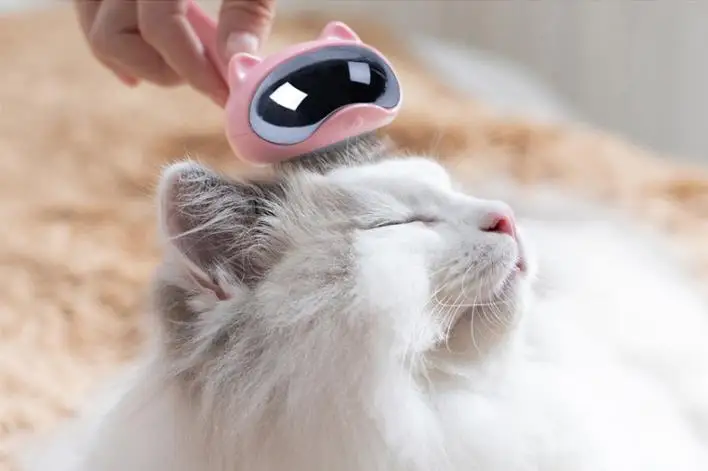 Pet cat hair Специальная игла расческа для животных Тедди золотые волосы большая собака щетка товары для собак