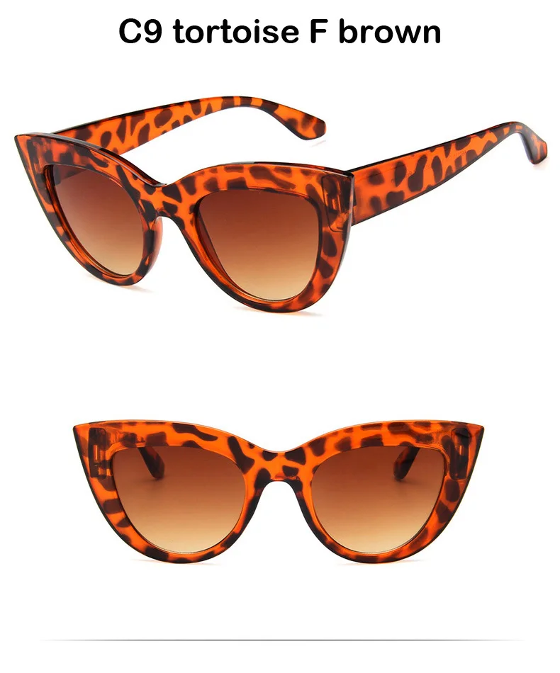 C9 tortoise F brown