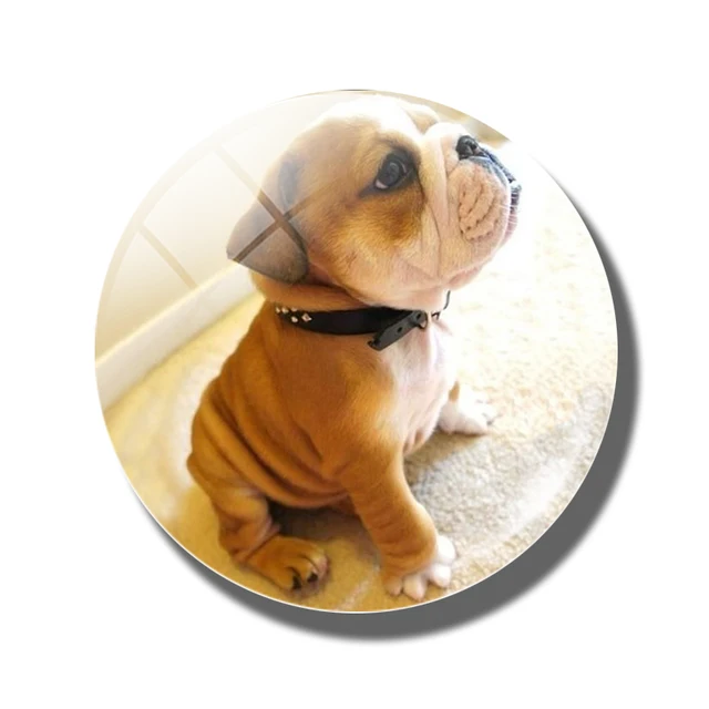 Dog fridge 30MM glass Cabochon Cute Animal Refrigerator