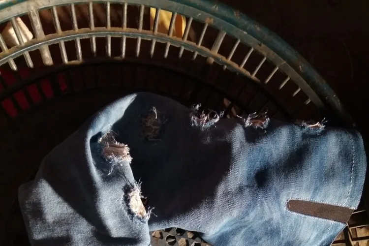  (3)