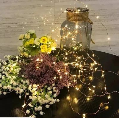 

USB 10M 33FT 100 led Outdoor Led Copper Wire String Lights Christmas Festival Wedding Party Garland Decoration Fairy Lights