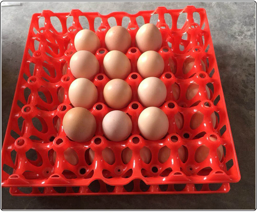 5 шт. 30 яиц коммерческий транспортный лоток для яиц пластмассовый ящик для яиц для слоев сельскохозяйственное оборудование для животных утилизация