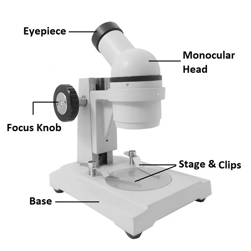 10X 20X 30X 40X Mini Monocular Microscope UP-right Image Dissecting Stereo Microscope for PCB Inspection Science Research
