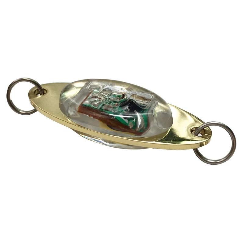 LED LIGHED الاهتزاز غرق إغراء-المياه المالحة القفز الصمام ضوء وماض الحبار الطعم إغراء ل صياد السمك