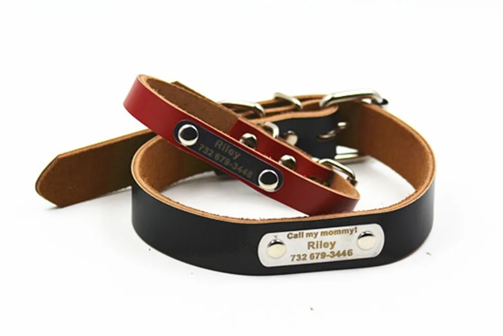 HTB1U0QfJVXXXXXQXXXXq6xXFXXXv