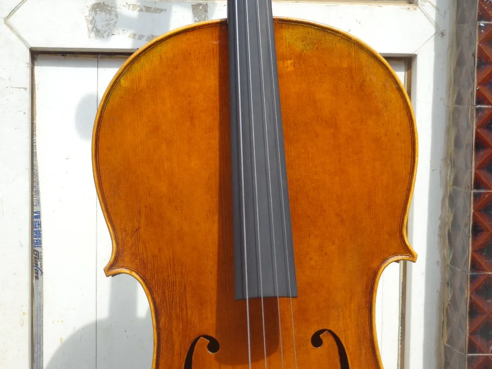 DSC00648