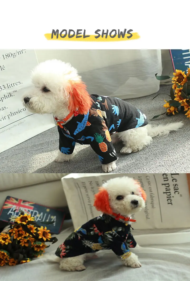 funny dog clothes