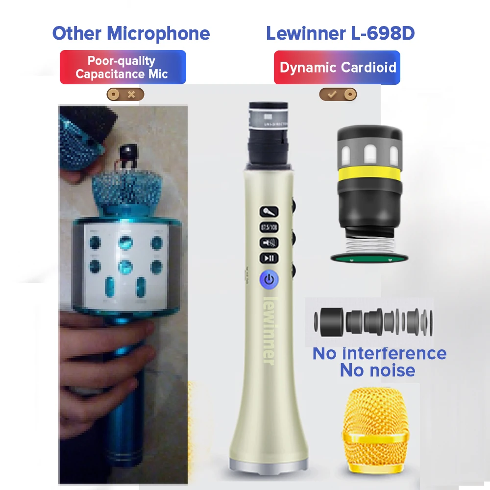 Lewinner L-698D professional 20W portable wireless