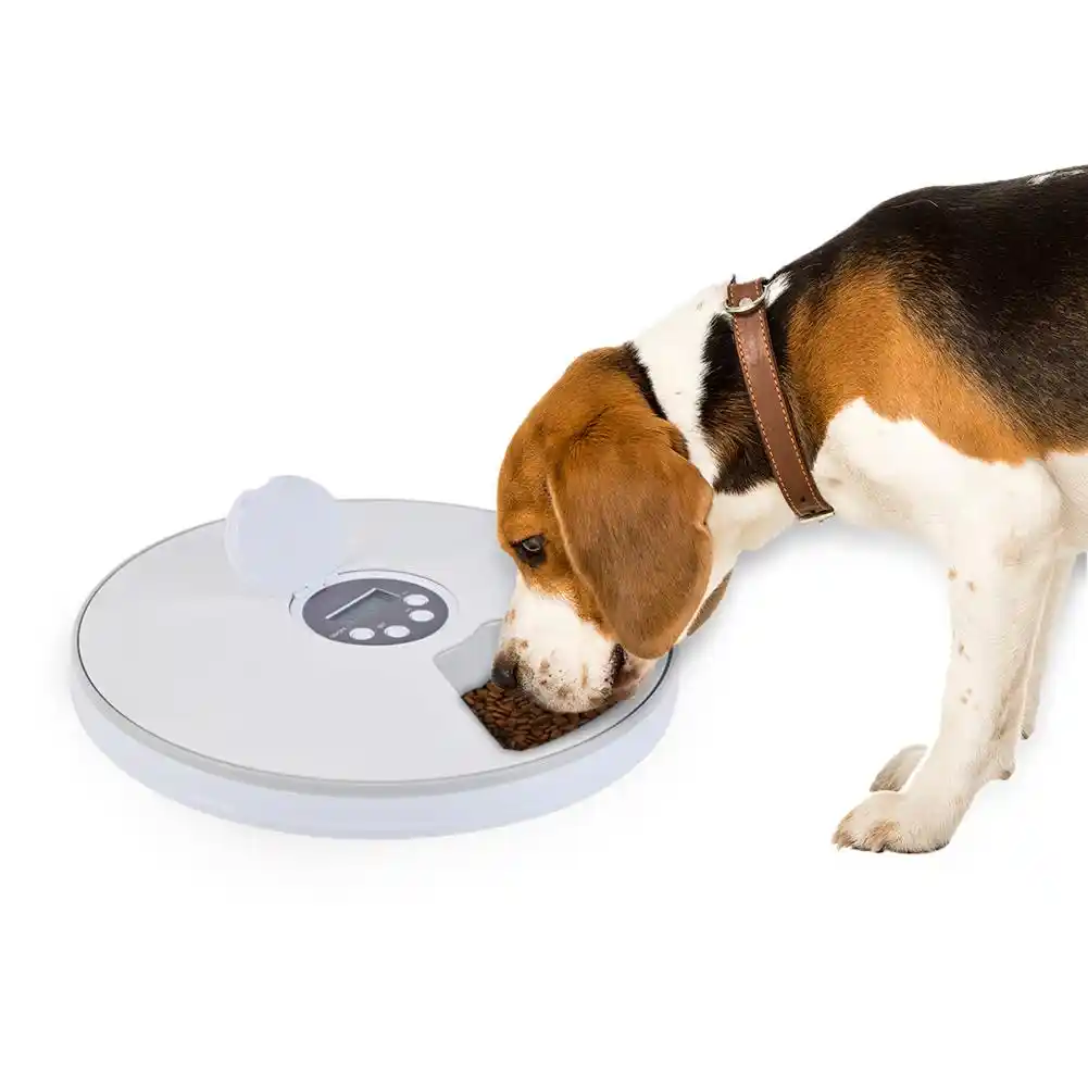 New Automatic Timing Pet Feeder 6 Grids Food Compartments For Dog