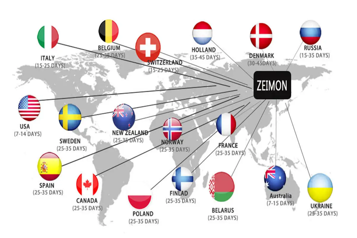 ZEIMON с принтом тигра гобелен животное кошка гобелен настенный гобелен Спальня украшение дома из полиэстера Настенный Ковер диван одеяло