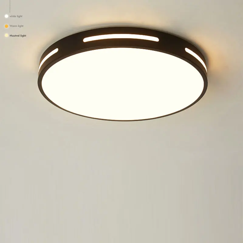 

Modern LED Ceiling Light Simple Decor Fixtures for Study Dining Room Bedroom Living Room Ceiling Lamp 2 light source 12W/18W #