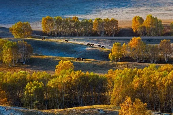 Осенние Просторы Фото