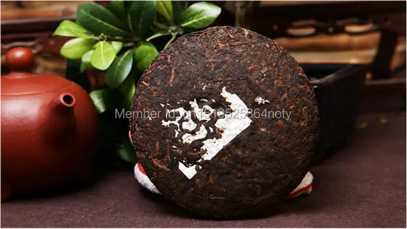 PUER-22-100 (5)