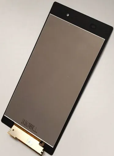 z1004
