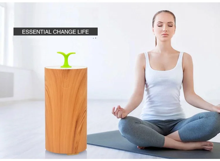 diffuser oil (4)
