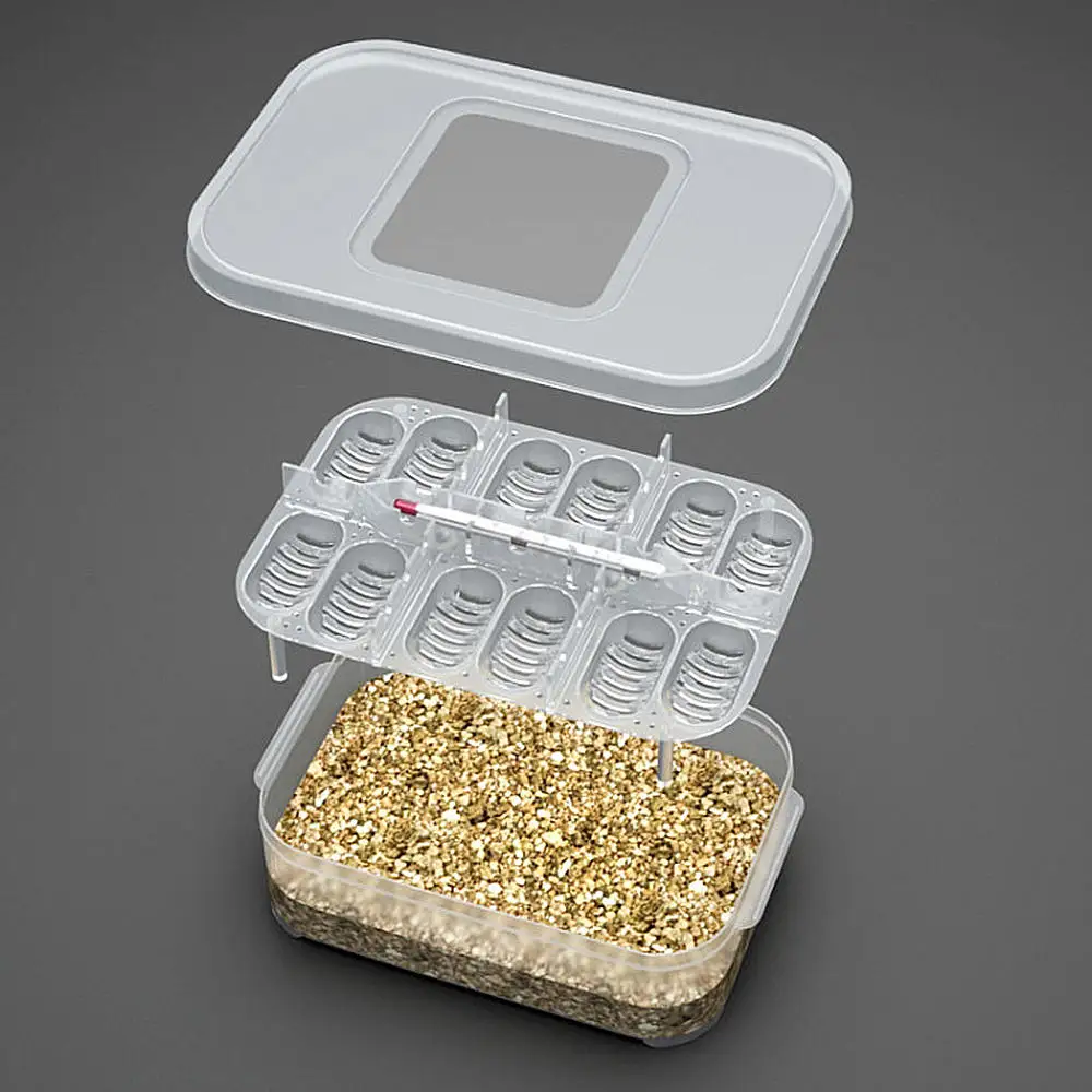 12 Grids Reptile Egg Incubation Tray Plastic Eggs Hatcher Box Lizard Gecko Snake Case with Thermometer Amphibians Tools