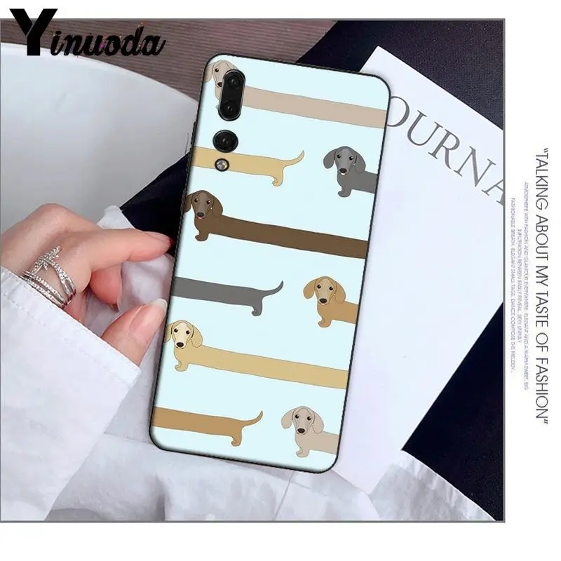 Animals Dogs Dachshund 