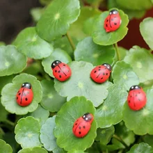 Миниатюрные украшения пейзаж Coccinella septempipatata изделие из смолы «сделай сам» маленький садовый декор миниатюрный кукольный домик