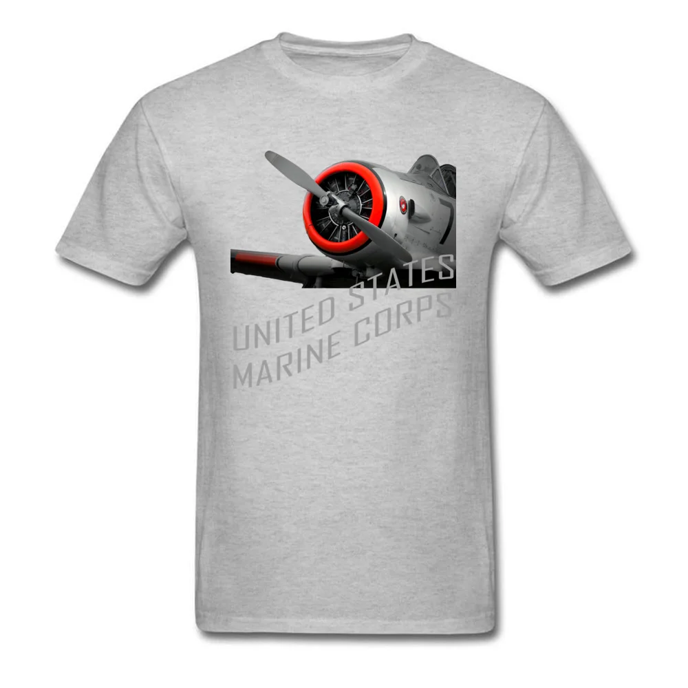 Airplane Aircraft_grey