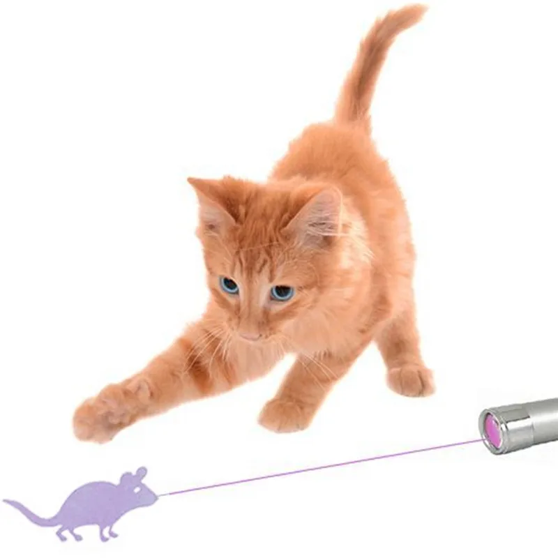 1b84ab06-0f6a-8e9c-6956-d7cf39d4afcb