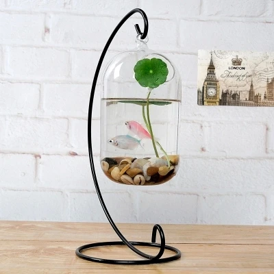 O. RoseLif большой размер стеклянная ваза домашний декор аквариум подходит для рыб резервуар с воском Тыква стеклянная бутылка+ Железный держатель набор цветочных шаров ваза