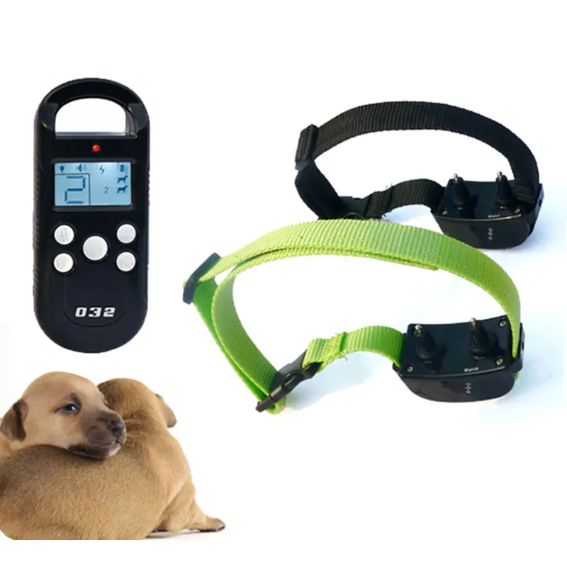 dog training collar (9)