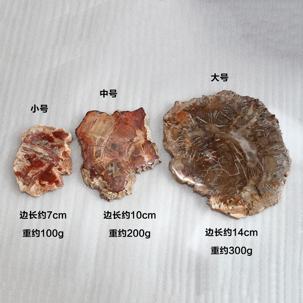 7~14cm Natural Petrified Wood Fossil Crystal Coaster Madagascar Specimen Stone 