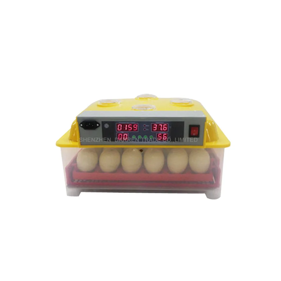 36 Eggs Incubator Automatic Chicken Egg Incubadora Poultry Hatcher Chicken Plucking Machine WQ-36 36 Eggs Incubator Automatic Chicken Egg Incubadora Poultry Hatcher Chicken Plucking Machine WQ-36