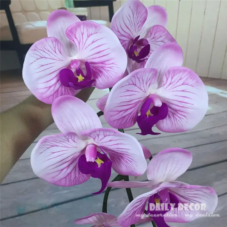 3561341495_1590719551