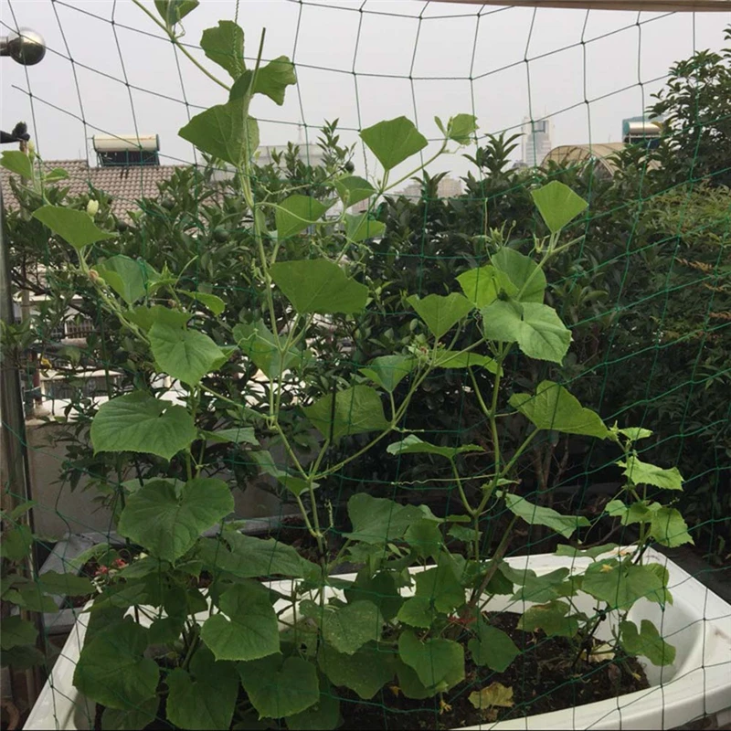 1,8*0,9 м садовая зеленая нейлоновая решетчатая сетка с поддержкой сетки для скалолазания фасоли растительные сетки садовая зеленая нейлоновая решетчатая сетка