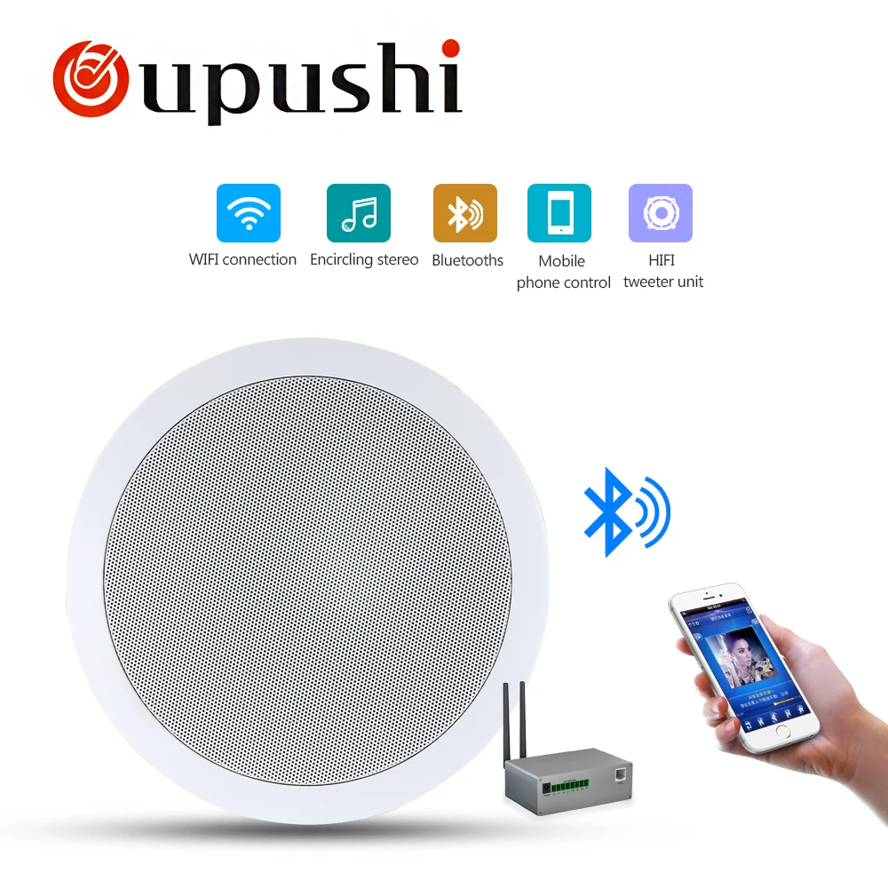 Oupushi VX5 C двухчастотное разделение высококачественный динамик с Wi Fi 5 25 дюйма 20 Вт
