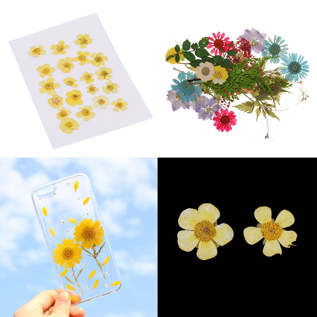 Pack of 50pcs Natural Dried Flower Real Flower Mixed For DIY Resin Ornament Craft Card Making Scrapbooking Embellishments