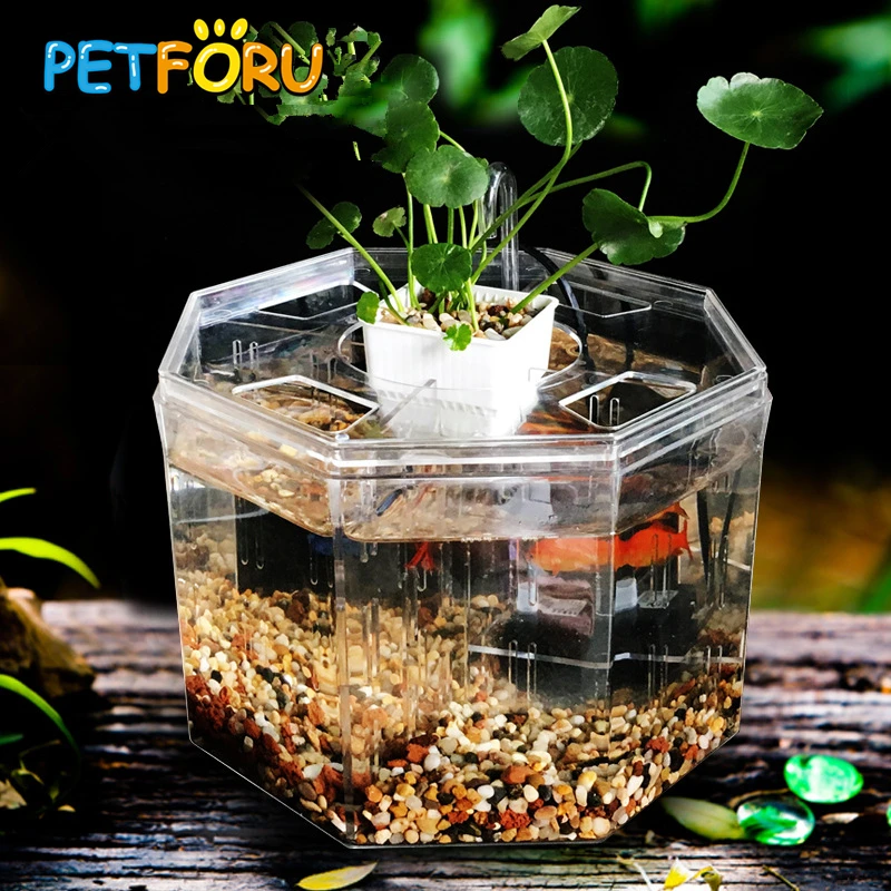 PETFORU большой размер 4 комнатный акриловый аквариум с четырьмя брызгами Бетта