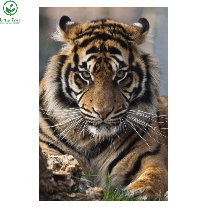 

Fashion wall decorative tiger new needlework full square drill diamond painting diy cross stitch diamond embroidery mosaic craft