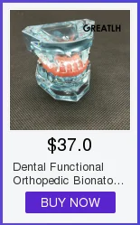 Modelo de Ensino Dental