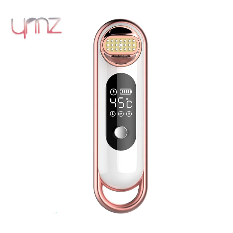 

Face Skin EMS Mesotherapy Electroporation RF Radio Frequency Facial LED Photon Skin Care Device Face Lift Tighten Beauty Machine