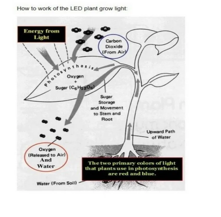 plant led strip light 11