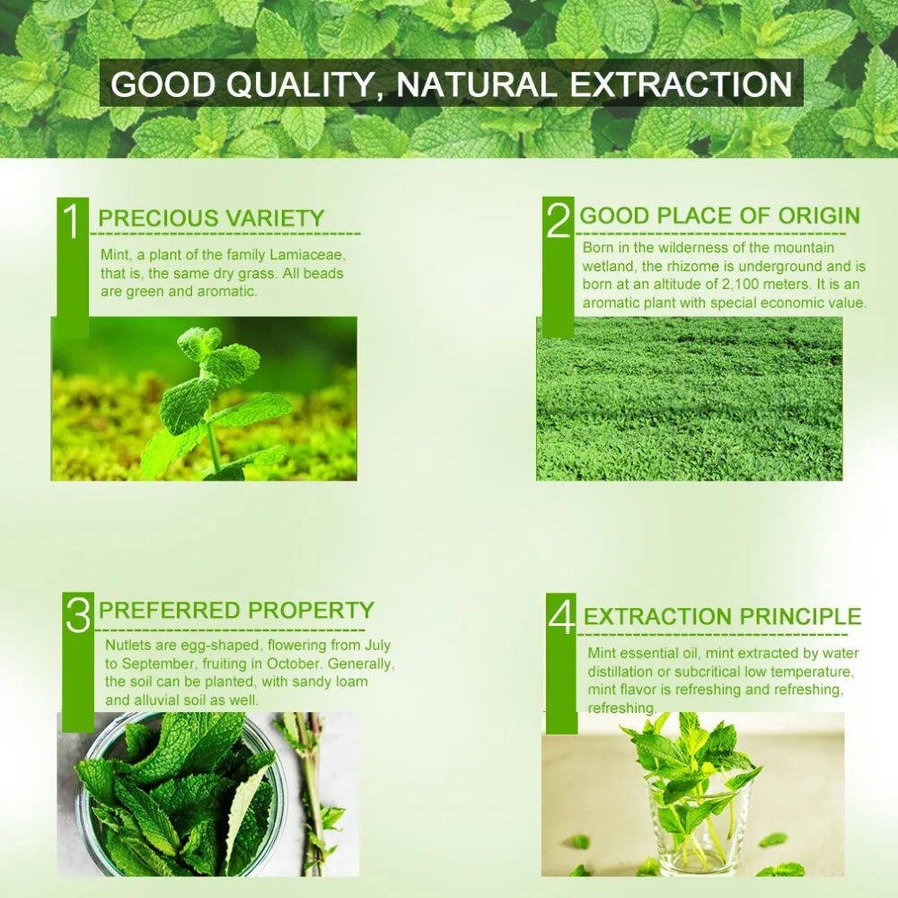 Peppermint essential oil (6)