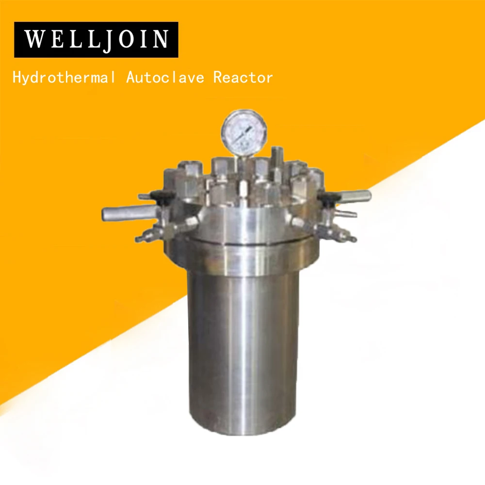 

Pressure Hydrothermal Autoclave Reactor 500ml 22Mpa 380