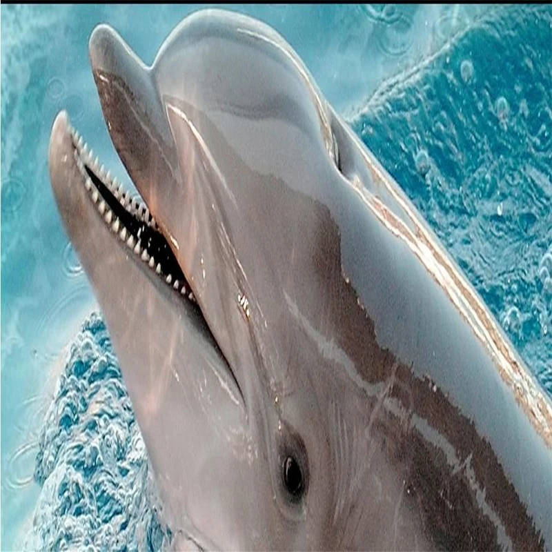 Custom 3D Self-adhesive PVC Floor Mural Wallpaper Dolphin Waterfall Waterproof Sticker Anti-slip Bathroom Floor Mural Wallpaper