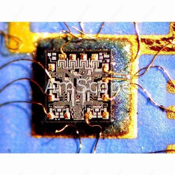 Microscópios