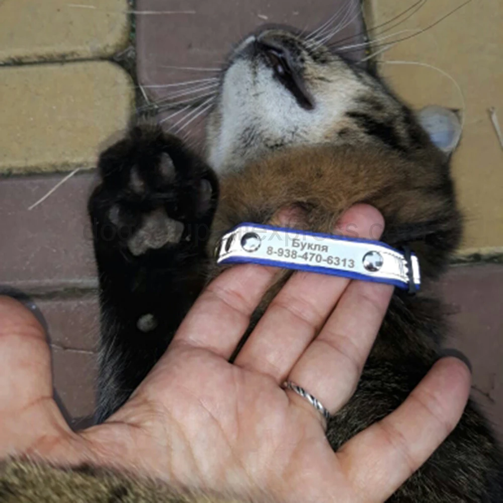 UTB8e7RMkdnJXKJkSaiyq6AhwXXaN