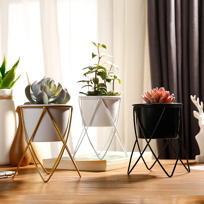 

meat flower shelf simple small flower pot desktop rose plant plant hanging planter planters for succulents succulents plants