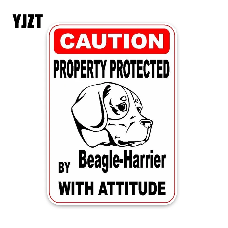 YJZT 15*11.4CM Property Protected By Beagle-Harrier Dog The Car Whole Body PVC Sticker C1-4687 | Автомобили и мотоциклы