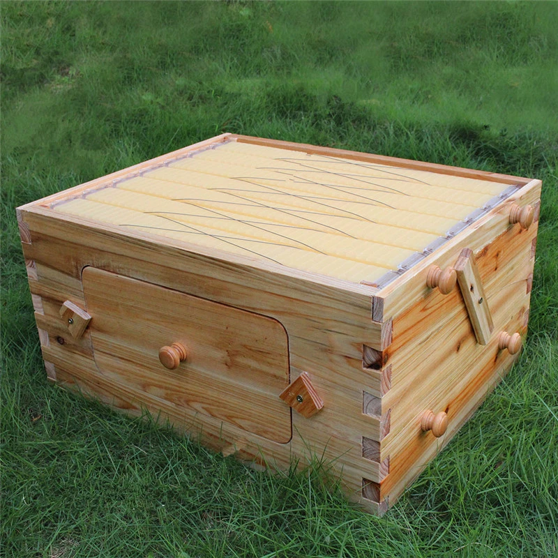 AUTO flow super beehive box with 7pcs flow hive frames with free fast