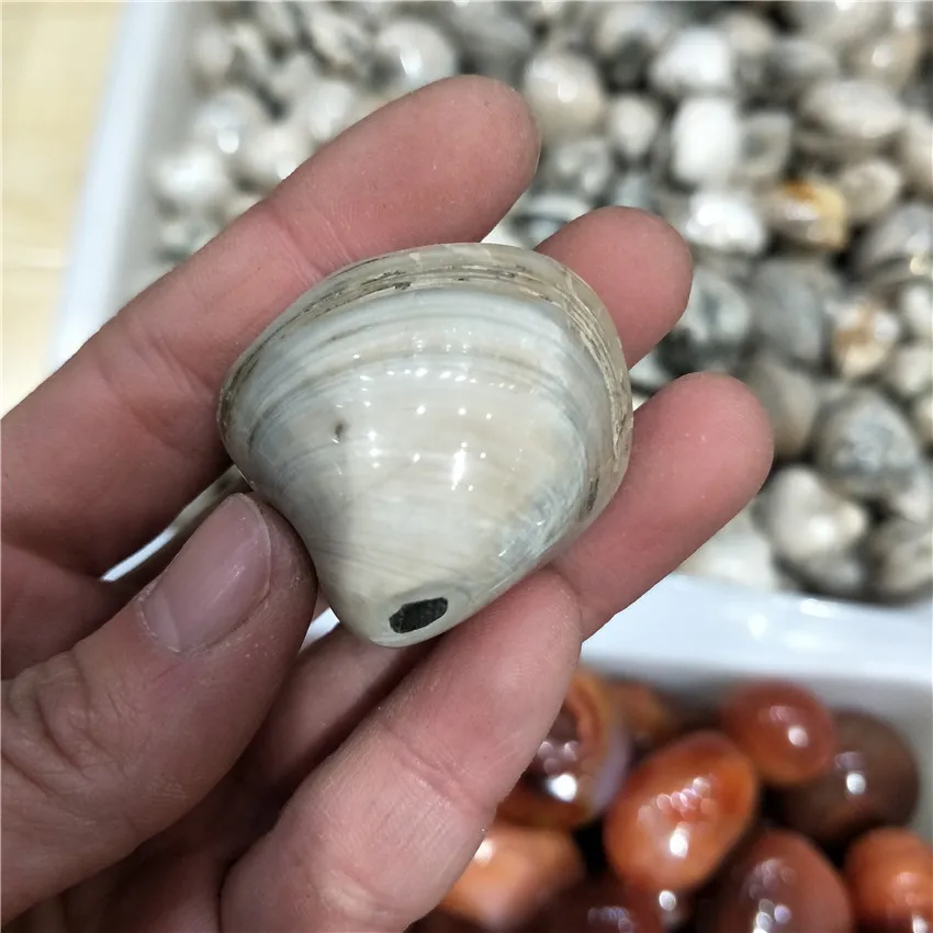 IMG20180219113052